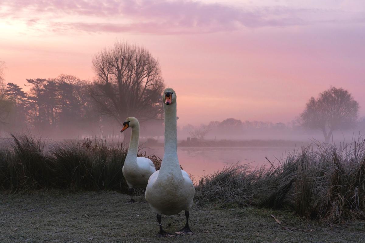 Hyde Park: London’s Haven of Peace and History