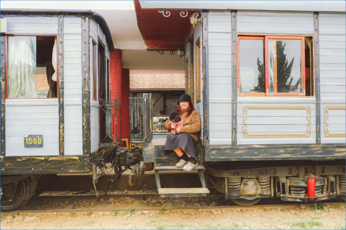 Step Back in Time: Explore the Magic of the Devon Railway Centre