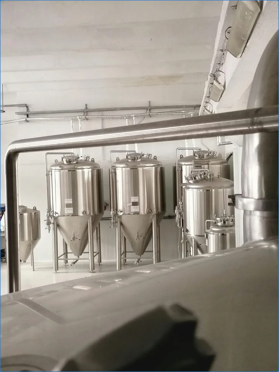 Stainless steel brewery tanks in a facility.