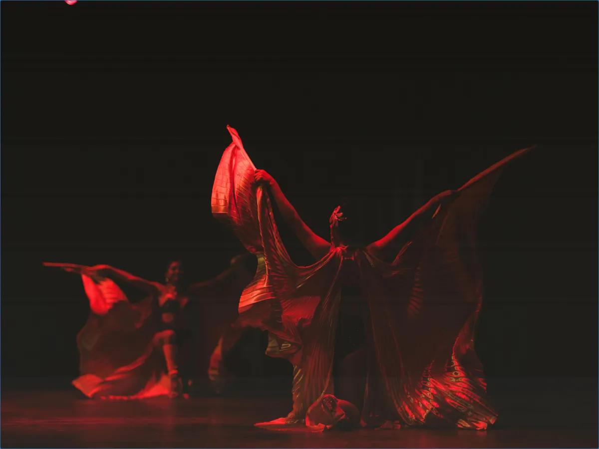 Wokingham Theatre: A Community's Stage for Passion, Performance, and Creativity