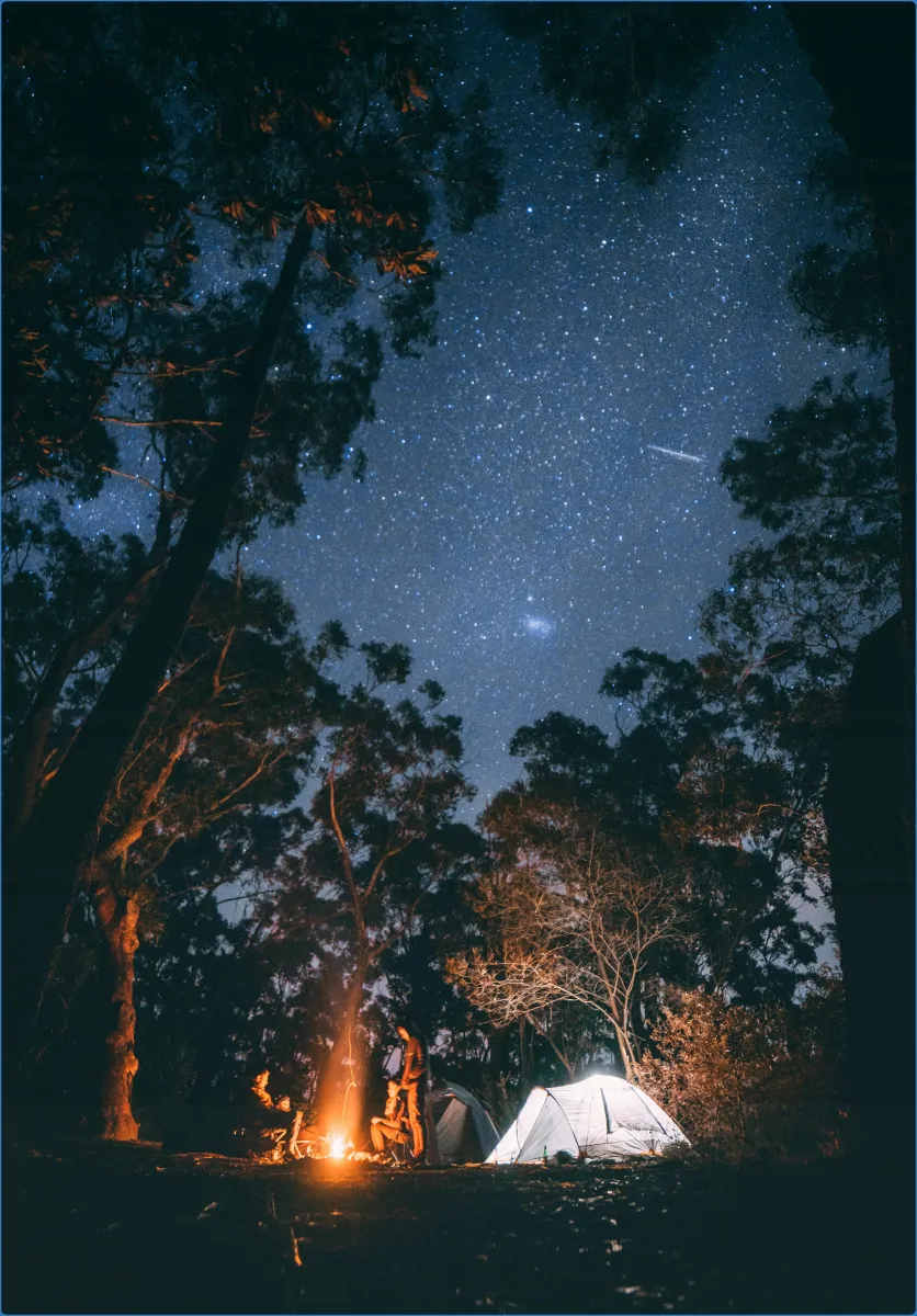 Night camping under a starry sky with tents and campfire.