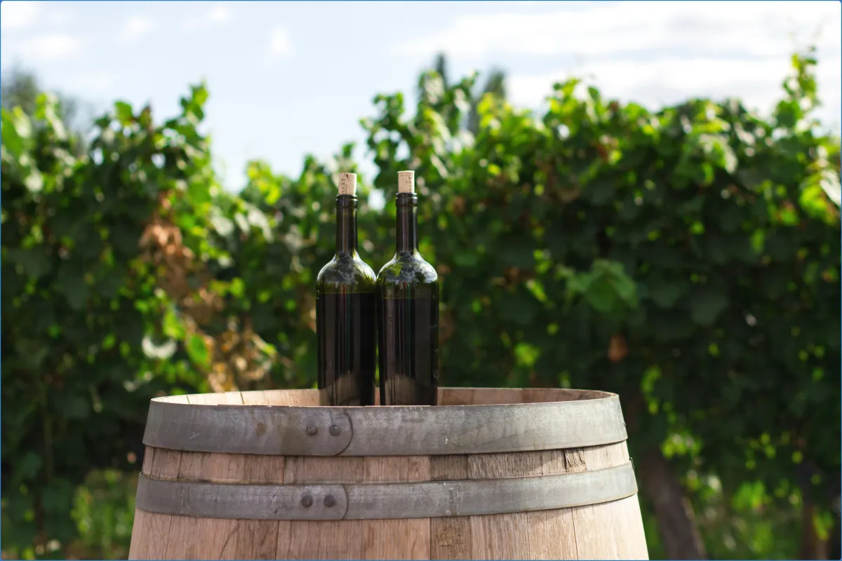 Two wine bottles on a wooden barrel in a vineyard.