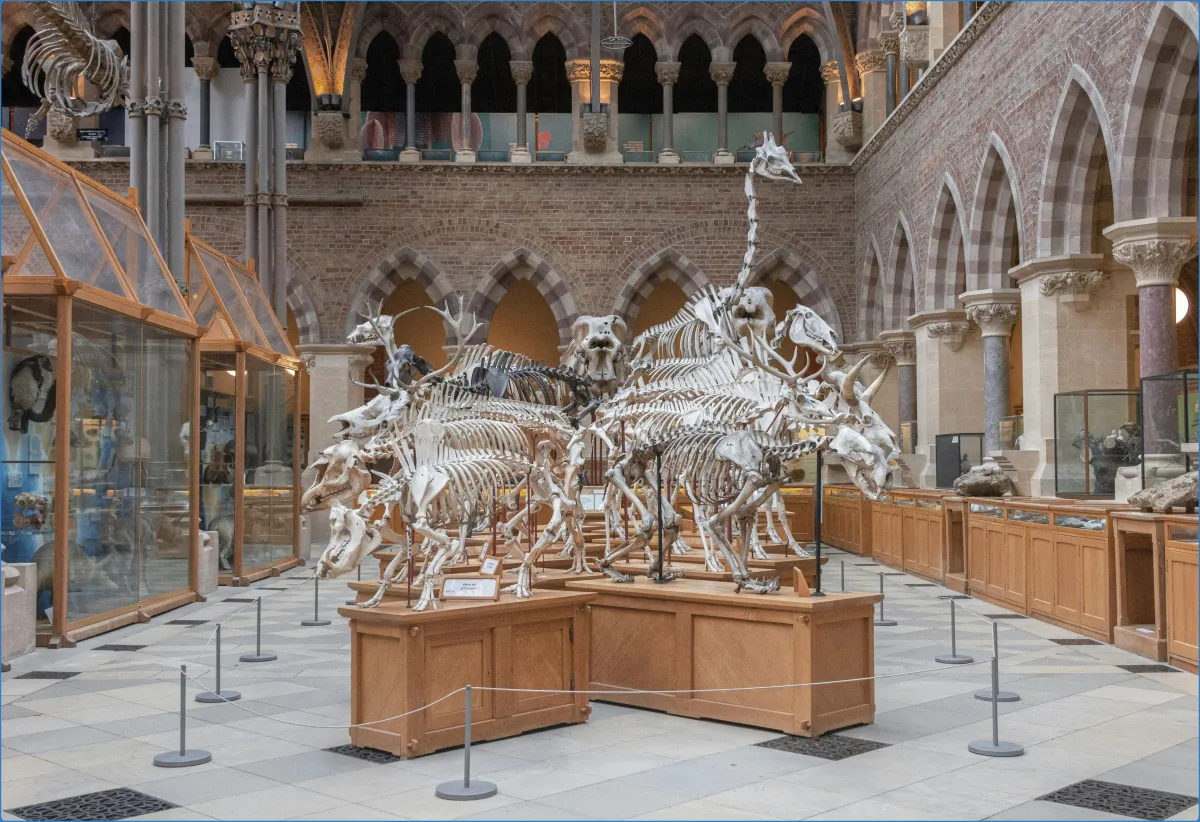 Natural History Museum 