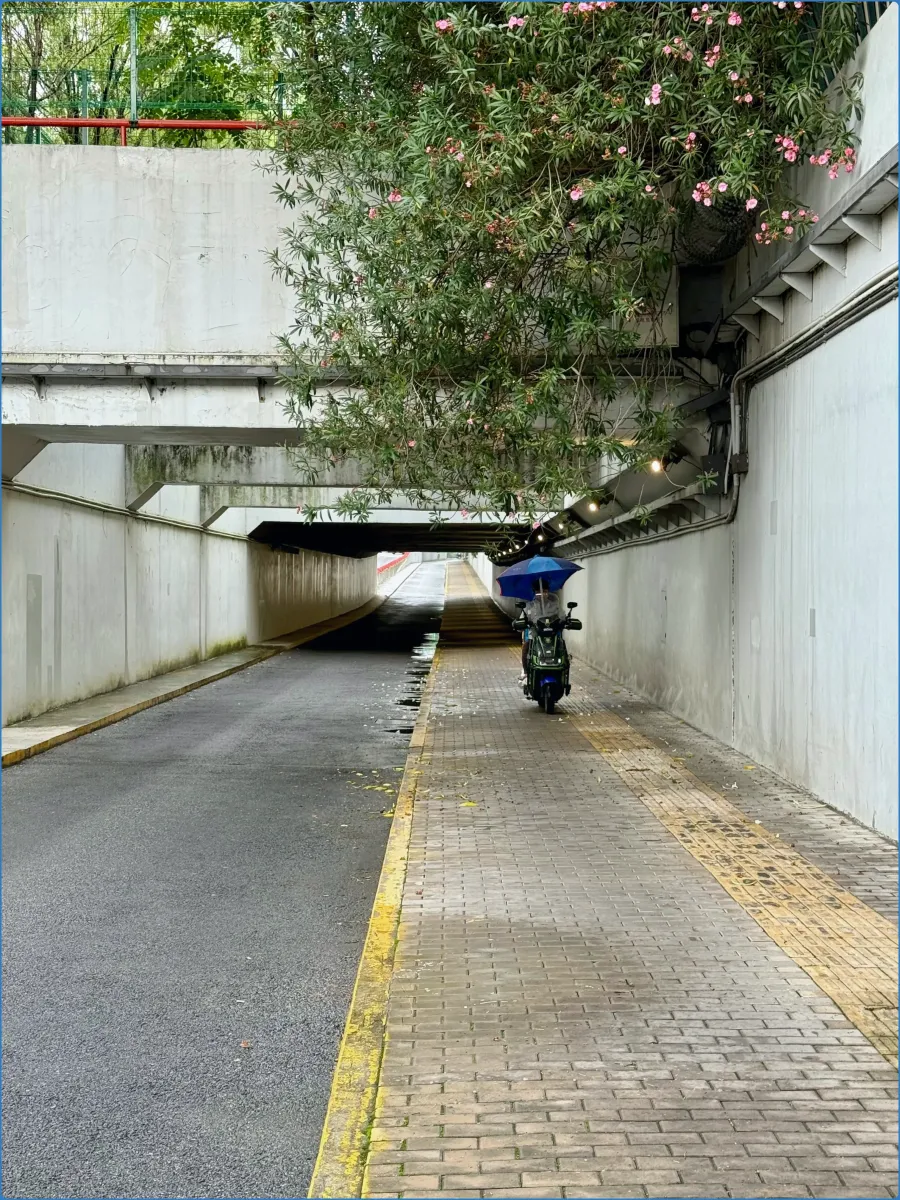 Motorbike parked under a bridge with overhanging flowers.
