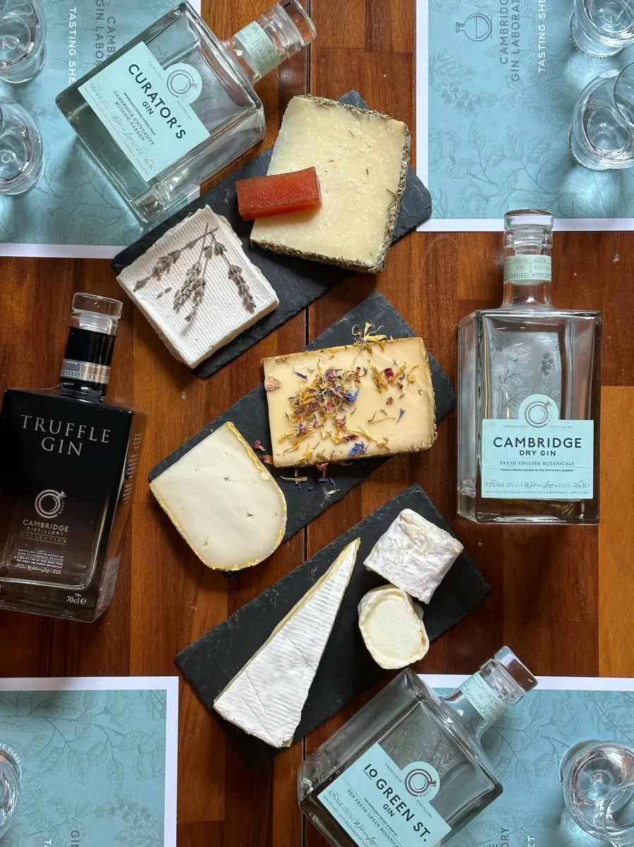 Assorted cheeses and gin bottles on a wooden table.