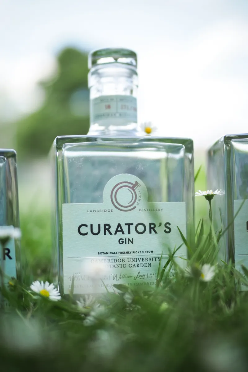 Bottle of Curator's Gin in grass with flowers